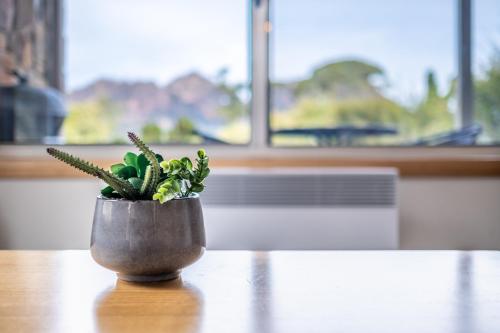 a potted plant sitting on top of a table at Freycinet Stone Studio 4 - Granite in Coles Bay