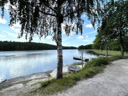 a tree sitting next to a body of water at 4 person holiday home in GAMLEBY-By Traum in Gamleby