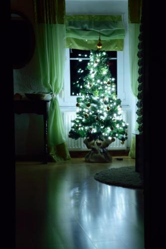 a christmas tree in a room with a window at Apartment Sotočje in Dolenja Trebuša
