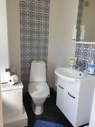 a bathroom with a white toilet and a sink at Carlberg Rum Loftet in Bergshamra