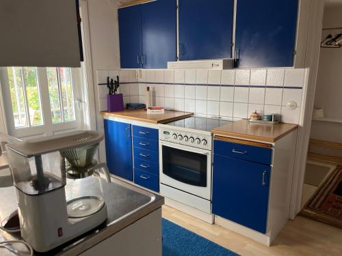 eine Küche mit blauen Schränken und einem weißen Herd mit Backofen in der Unterkunft Almagården lantlig miljö in Svängsta