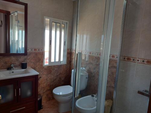 ein Bad mit einem WC, einem Waschbecken und einer Dusche in der Unterkunft Corazón de Aguilar in Aguilar de la Frontera