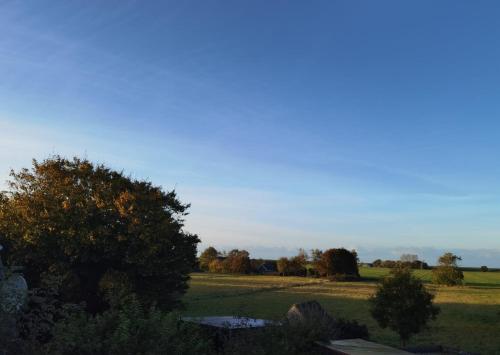 a view of a field with trees in the background at Nordseeblick 2 in Carolinensiel