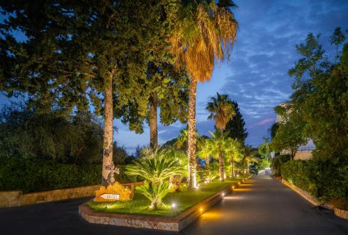 a street lined with palm trees at night at Hotel Kalura in Cefalù