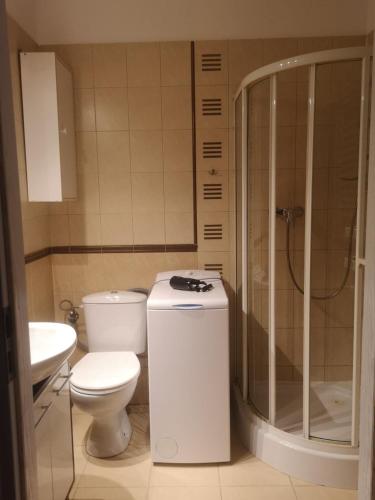 a bathroom with a toilet and a shower and a sink at Studia Pasieka in Opole