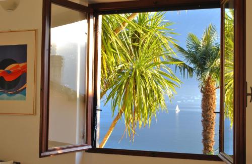 Palm Bay Garden – Photos 5