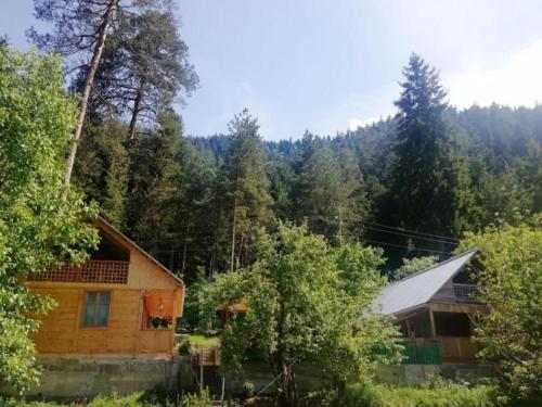 ein Holzhaus mitten im Wald in der Unterkunft Guest House Ilia in Bordschomi