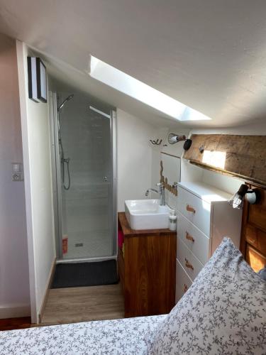 a small bathroom with a shower and a sink at La belle Histoire in Carcassonne