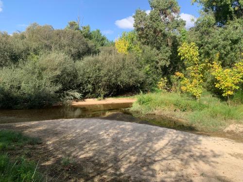 a dirt road next to a river with trees at JARAMUNDI in Villa del Prado