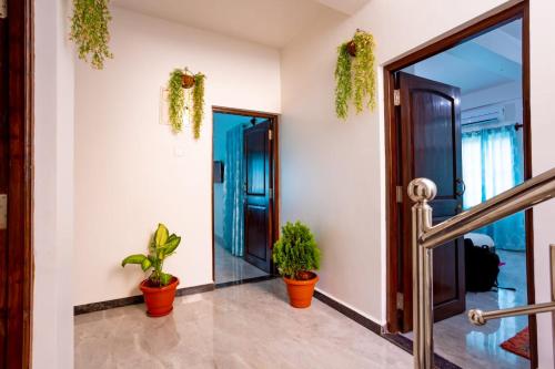a hallway with potted plants and a glass door at Goan Fiesta Studio CALANGUTE GOA in Calangute