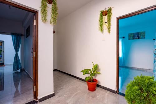 a hallway with a door and a potted plant at Goan Fiesta Studio CALANGUTE GOA in Calangute