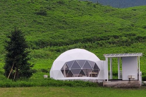 a white dome house in a field of grass at GRAND VERDE RESORT in Kamegawa