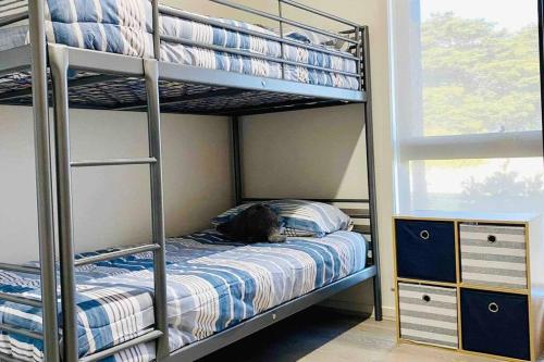 a bedroom with a bunk bed with a cat sleeping on it at Racing Penguin Surf Grand Prix Walk Phillip Island in Sunset Strip