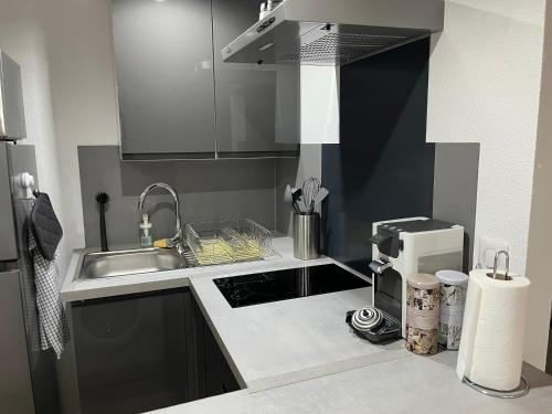 una pequeña cocina con fregadero y microondas en Chouett'Appart proche frontières en Village-Neuf