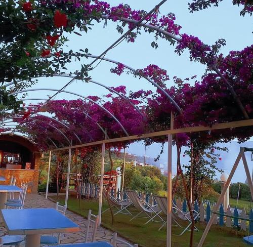 un patio con mesas, sillas y flores púrpuras en Hotel Sirena, en Vlorë