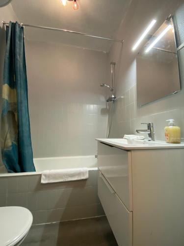 uma casa de banho com um lavatório, um chuveiro e um WC. em Les Cosy De Nancy - L'alcove city trip 4 étoiles em Nancy