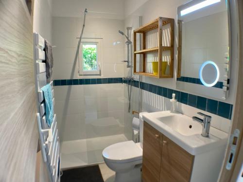 ein Bad mit einem WC, einem Waschbecken und einer Dusche in der Unterkunft Gîte Anse Coco Luberon - Au calme, gite avec piscine securisee in Pertuis