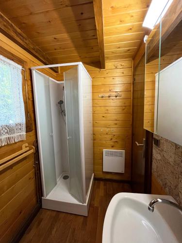 une salle de bain avec douche et lavabo dans l'établissement Chalet calme cosy Eyne station 2600, à Eyne