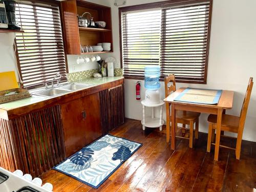 a kitchen with a sink and a table with a blender at Hummingbirds Cabins in Caye Caulker