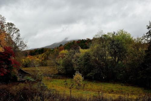 Misty Creek – Photos 4