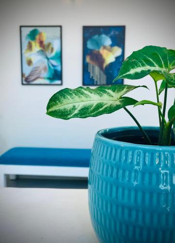 a blue planter with a plant in it on a table at The Oval House, Kochi - Approved by Kerala Tourism - Exclusively for Families in Cochin