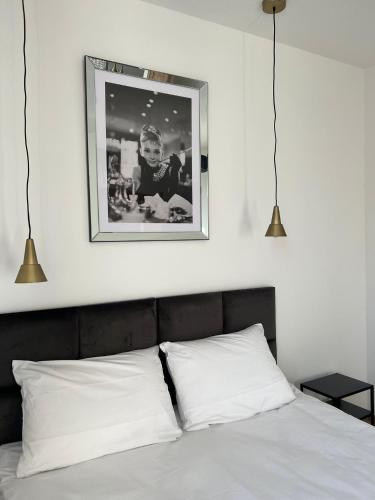 a bed with two pillows and a picture above it at Niron Apartamenty Królowej Jadwigi Złotów in Złotów