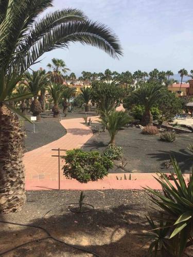 *1 bed apt, fibre, 200mt beach, 2 mins bars/shops*