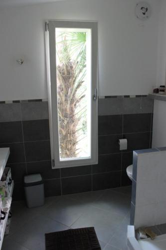 a bathroom with a window and a palm tree at chambre indépendante sur jardin avec SDE et cuisine in Nantes