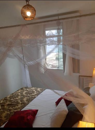 a bedroom with a bed with a mosquito net at Flat bela vista master in Macaé