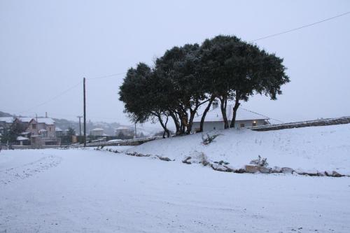 a snow covered hill with trees and a fence at Livadi Suites in Arachova