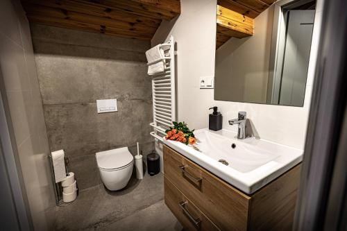W łazience znajduje się umywalka, toaleta i lustro. w obiekcie Apartamenty MIODZIO w Szczyrku