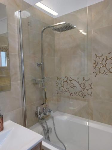a shower with a glass door in a bathroom at MONADIN Villa Relax & Spa in Săcele