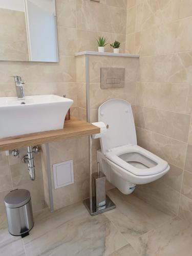 a bathroom with a white toilet and a sink at MONADIN Villa Relax & Spa in Săcele