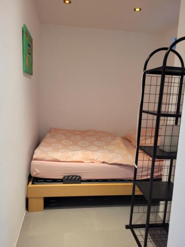 a small bedroom with a bunk bed and a ladder at Ferienwohnung am Minoritenhof in Sinzing