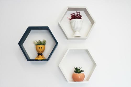 a collage of pictures of flowers and a vase at Cozy Apartment in Pristina in Pristina