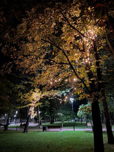 un parque por la noche con un banco y luces en White Deluxe Apartments, en Cherníhiv