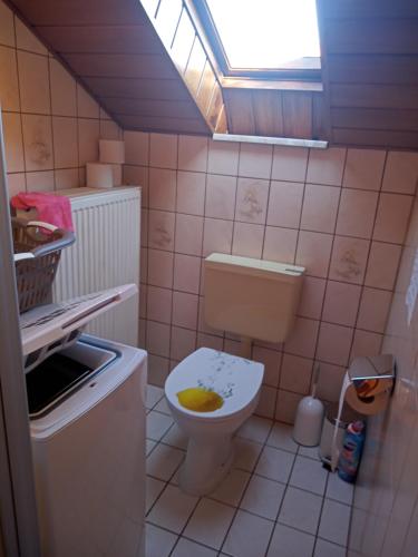 a bathroom with a toilet and a sink at Wohnung mit 2 Zimmern in Ballenberg
