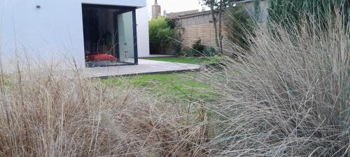 a field of tall grass next to a house at Maison Joli Soir à Ambleteuse in Ambleteuse