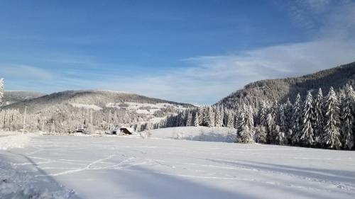 a snow covered field with trees and a mountain at Ferienwohnung Stampfer in Gnesau