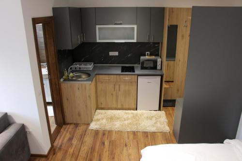 uma pequena cozinha com um lavatório e um micro-ondas em Apartmani Sorak Kopaonik, hotel Aris, Apartman A10 em Kopaonik