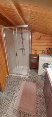 een badkamer met een douche en een wasmachine bij Ruime romantische blokhut in Zwaanshoek