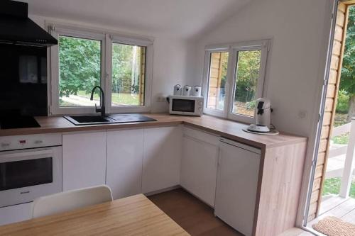 a kitchen with white cabinets and a sink and windows at Au Bord de l'Oise in Auvers-sur-Oise