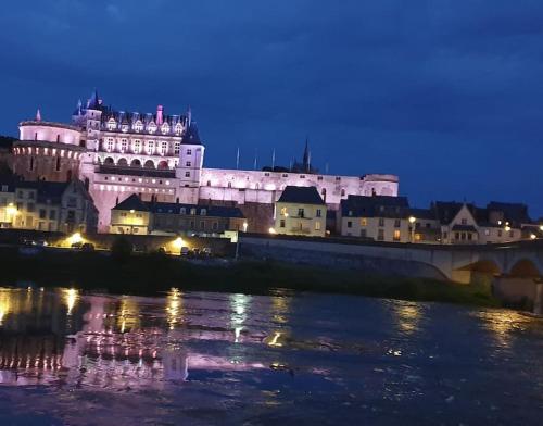 een kasteel verlicht in de nacht naast een rivier bij Studio Cosy in Nazelles