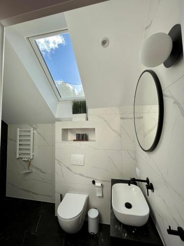a bathroom with a toilet and a sink and a skylight at Wood Lake Rożnów in Rożnów