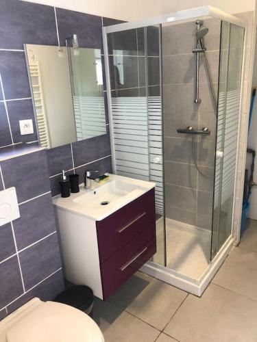 łazienka z umywalką, prysznicem i toaletą w obiekcie Charment logement avec parking et jardin privatif w mieście Rocbaron