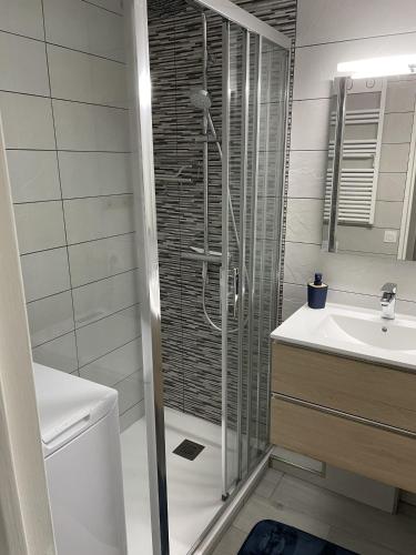 une salle de bain avec douche et lavabo dans l'établissement Le Rêve Bleu, à Saint-Cyprien