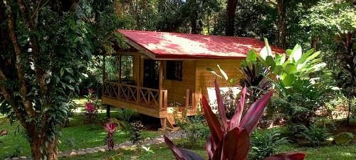 una pequeña casa con techo rojo en un bosque en Cabinas Costa Tropicana, en Uvita