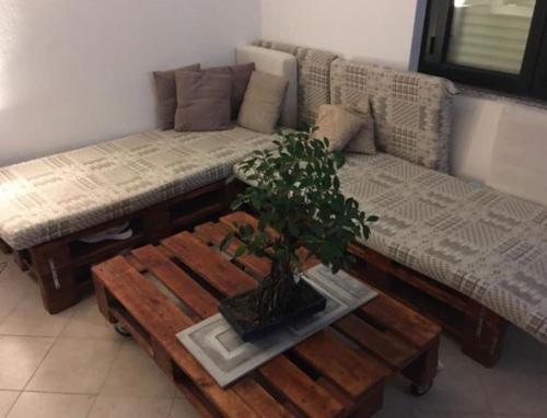 a living room with a couch and a table with a plant at GIARDINI VERDI Intero appartamento in Muravera