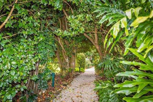 a path through a garden with trees and plants at Camelot Boutique Accommodation in Mount Tamborine