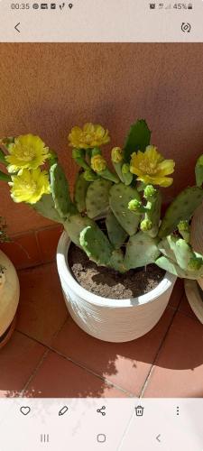 Casa dell'Ulivo – Photos 3